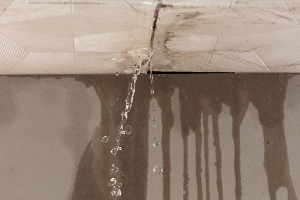 Professional Burst Pipe Cleanup technician working in Kinards, SC